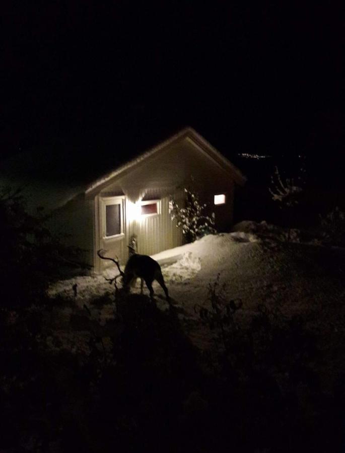 Warm And Cozy Cottage, Great Location Kvaloya Exterior photo